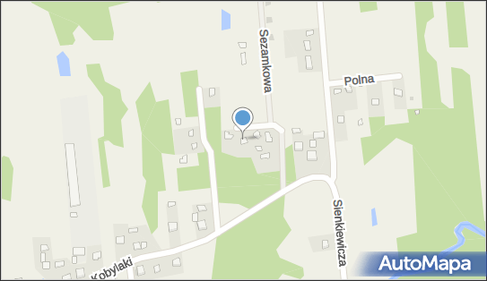 260333496, Alicja Drezno Wspólnik Spółki Cywilnej Przetwórstwo Owoców i Warzyw Wyrób Drożdży Winiarskich 