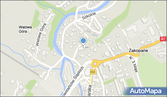 Przewodnik Tatrzański Wielgus Jan, Cichej Wody 4a, Zakopane 34-500 - Przedsiębiorstwo, Firma, NIP: 7361149170