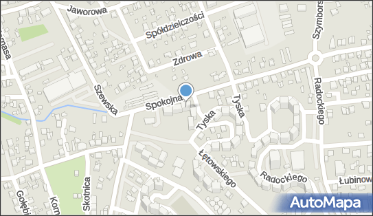 9541024382, Grędys Sebastian, Przewóz Bagażu i Ładunków 