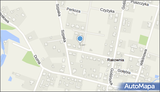 302833930, Przewóz Osób Adam Modzelewski 