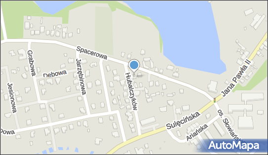 5961363485, Przewóz Osób - Andrzej Janus 