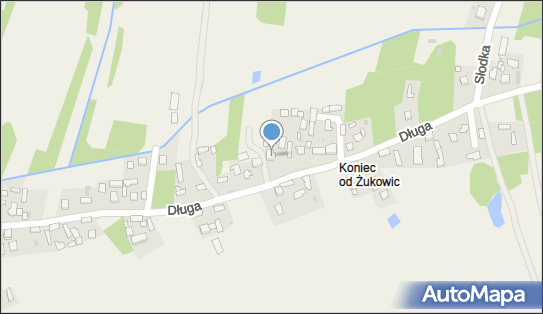 8731019739, Przewóz Osób i Towarów Firma 