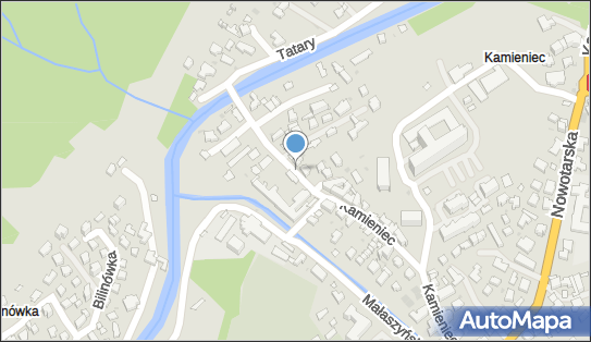 Przewóz Osób Mikrobusami, Kamieniec 28, Zakopane 34-500 - Przedsiębiorstwo, Firma, NIP: 7361223972