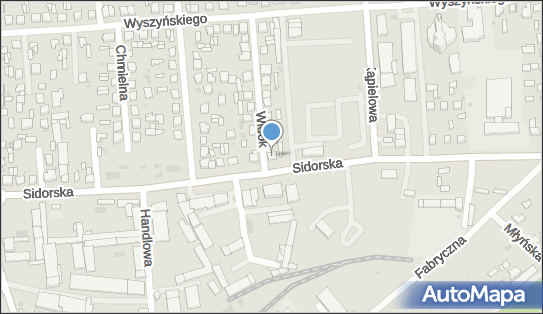 Przewóz Osób Samochodem Osobowym, Widok 1, Biała Podlaska 21-500 - Przedsiębiorstwo, Firma, NIP: 5371056339