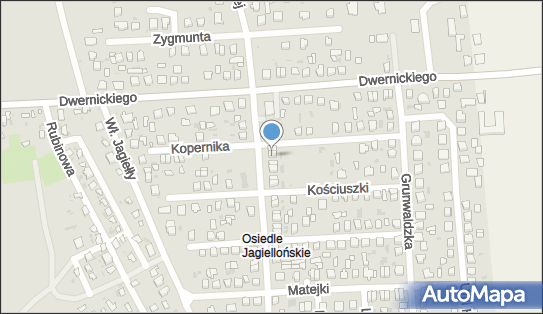 Przewóz Osób Taxi, Królowej Jadwigi 11, Hrubieszów 22-500 - Przedsiębiorstwo, Firma, NIP: 9191053212