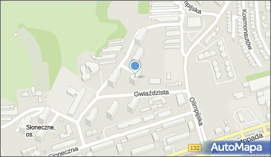 Przewóz Osób Taxi, ul. Gwiaździsta 6, Gorzów Wielkopolski 66-400 - Przedsiębiorstwo, Firma, NIP: 5991671814