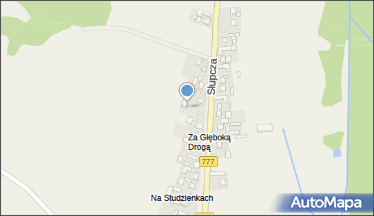 8641189981, Przewóz Osób 