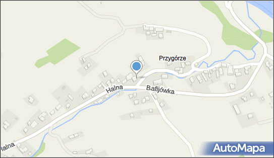 Przewóz Osób Zaprzęgiem Konnym, Halna 160, Brzegi 34-532 - Przedsiębiorstwo, Firma, NIP: 7361406974