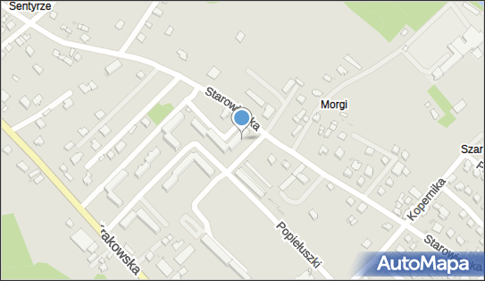 7371019457, Przewóz Osób , Konieczny Rafał 