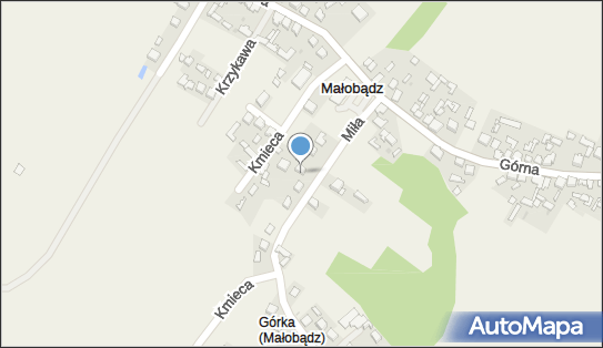 6370118665, Piekoszewski Marian Przewóz Osób 