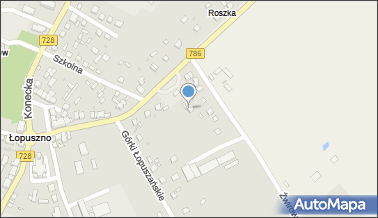 290705106, Przewóz Osób Gad Ryszard 