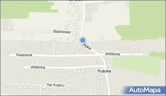 5481015100, Przewóz Towarów Mieczysław Skirło 