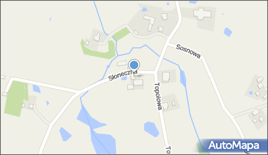 5890011068, Przewozy Autobusowe 