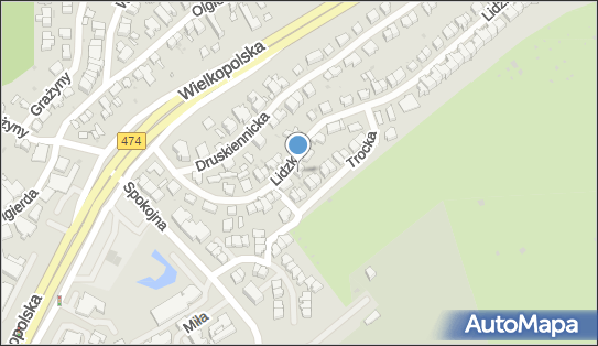 5860067590, Roman Gierszewski Przewozy Autokarowe Bis 