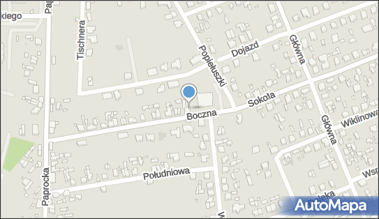8291530243, Przewozy Autokarowe 