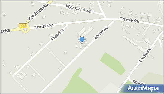 Przewozy Osób Taksówką Osobową, Trzesiecka 67, Szczecinek 78-400 - Przedsiębiorstwo, Firma, NIP: 6731140693