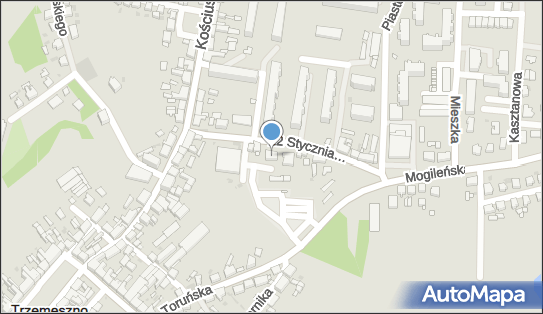 Przychodnia Dla Zwierzat, 22 Stycznia 4, Trzemeszno 62-240 - Przedsiębiorstwo, Firma, numer telefonu, NIP: 5571052530