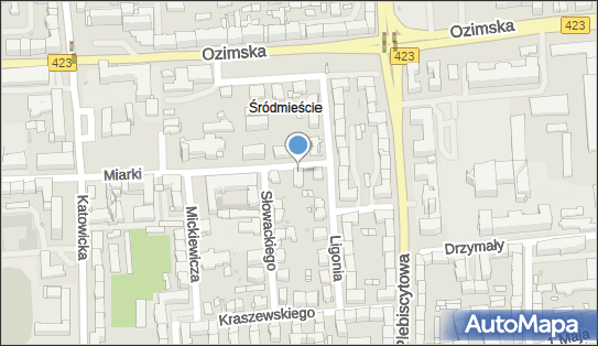 Przyjazny Projekt PL, ul. Karola Miarki 4, Opole 45-367 - Przedsiębiorstwo, Firma, NIP: 7543031439