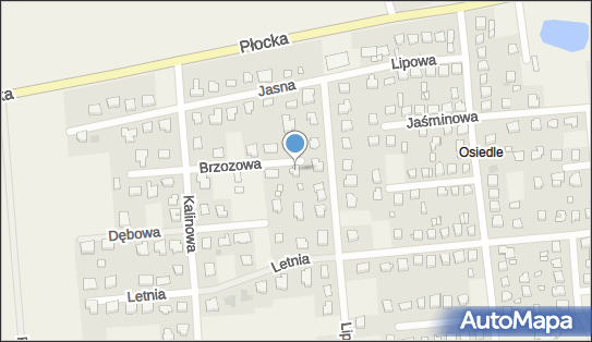 PSI ZAKĄTEK - Salon Pielęgnacji Psów, Brzozowa 4, Rogozino 09-442 - Przedsiębiorstwo, Firma, numer telefonu