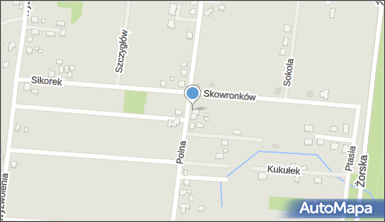 6351589197, Usługi Transportowe.Wypożyczanie Przyczep i Samochodów Krystian Ptak 