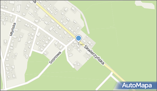 Pthu Dias Ecotrans, Skwierzyńska 21, Stare Polichno 66-431 - Przedsiębiorstwo, Firma, NIP: 5991890019