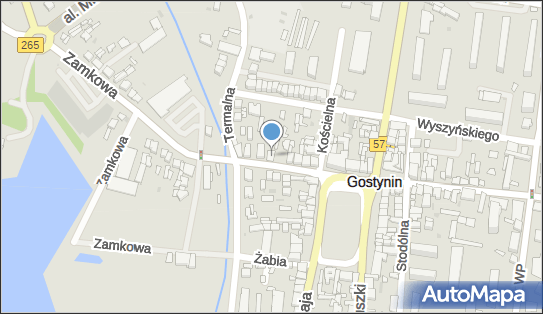 Pu-MW, Zamkowa 10, Gostynin 09-500 - Przedsiębiorstwo, Firma, NIP: 9710701082