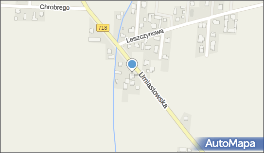 1180197162, Pu - Transportowe Wiesław Wawrzyniecki 