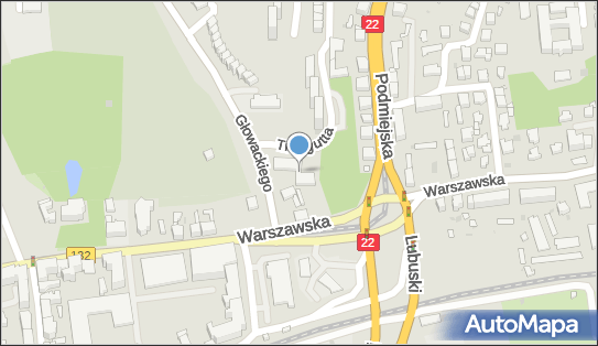 Pub Amigo Piechowiak Roman Kolankowski Zbigniew 66-400 - Przedsiębiorstwo, Firma, numer telefonu, NIP: 5992736734