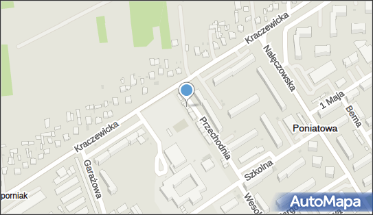 Pub Pisa, Przechodnia 49, Poniatowa 24-320 - Przedsiębiorstwo, Firma, NIP: 7171705975