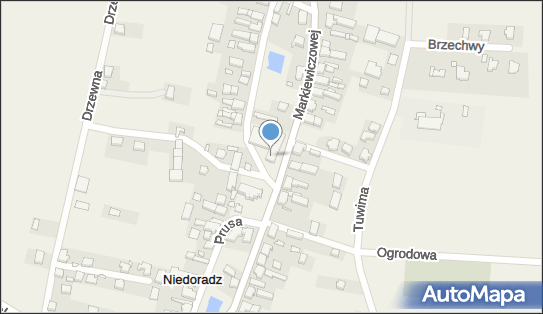Publiczna Szkoła Podstawowa w Niedoradzu, Markiewiczowej 7 67-106 - Przedsiębiorstwo, Firma, numer telefonu, NIP: 9251767258