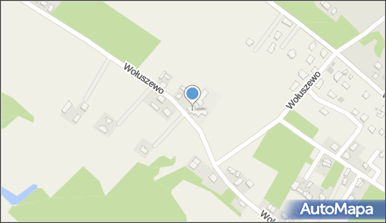 Publiczna Szkoła Podstawowa w Wołuszewie, Wołuszewo 79 87-720 - Przedsiębiorstwo, Firma, numer telefonu, NIP: 8911393190