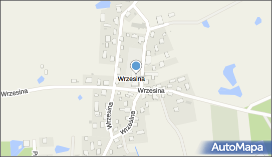 7393264371, Szkoła Podstawowa we Wrzesinie 