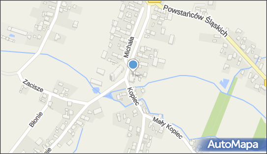 9910228294, Publiczna Szkoła Podstawowa w Starych Siołkowicach 