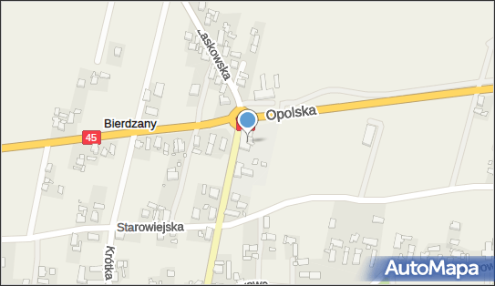 9910215133, Publiczna Szkoła Podstawowa w Bierdzanach 