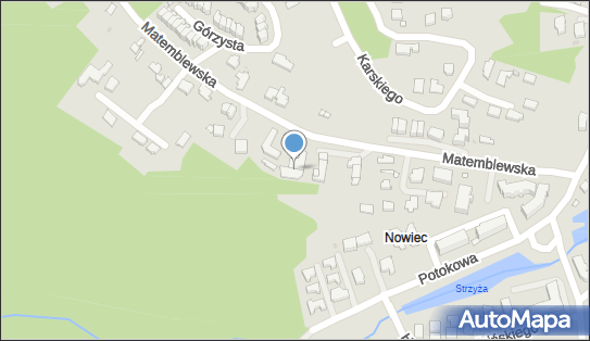 Publiczny Transport Cieżarowy nr 603, ul. Matemblewska 31, Gdańsk 80-294 - Przedsiębiorstwo, Firma, NIP: 9570341607