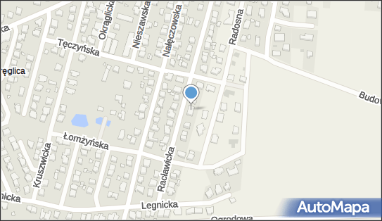 Puh Lidex, ul. Racławicka 28, Kalisz 62-800 - Przedsiębiorstwo, Firma, NIP: 9680615313