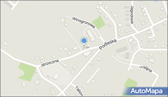 9541029617, Puh Widlak Kocełak Andrzej 