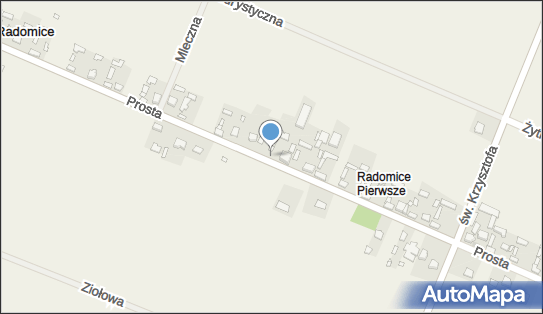 Punkt Unasienniania Zwierząt, Radomice 39, Radomice 26-026 - Przedsiębiorstwo, Firma, NIP: 6572092147