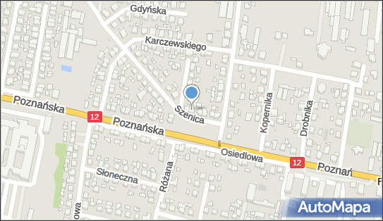 Puślecka, Szenica 10, Pleszew 63-300 - Przedsiębiorstwo, Firma