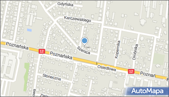 Puślecki-Piotr Puślecki, Szenica 10, Pleszew 63-300 - Przedsiębiorstwo, Firma, NIP: 6080027285