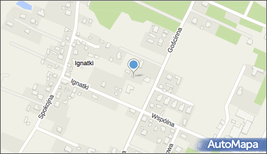 pw Flora, ul. Kwiatowa 11, Ignatki 16-001 - Przedsiębiorstwo, Firma, NIP: 9660034180