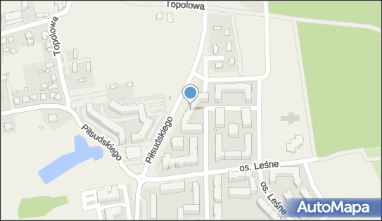 pw Software, os. Leśne 1B, Koziegłowy 62-028 - Przedsiębiorstwo, Firma, numer telefonu, NIP: 6922215640