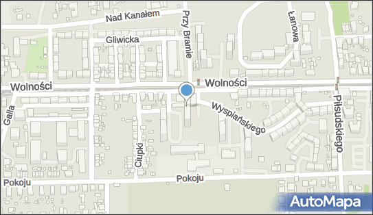 Pychotka, Wolności 123, Zabrze 41-800 - Przedsiębiorstwo, Firma, NIP: 6481667286
