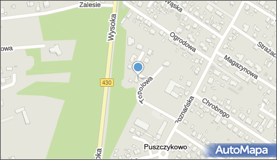 7771737038, Pytlak Przewozy Jarosław Pytlak 