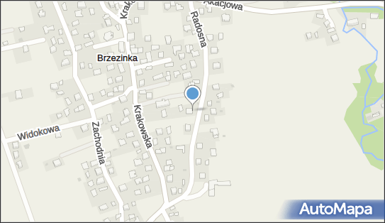 Race Rally Service, ul. Radosna 22, Brzezinka 32-064 - Przedsiębiorstwo, Firma, NIP: 8862377333