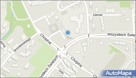 Rachea, Wszystkich Świętych 50, Szczecin 71-457 - Przedsiębiorstwo, Firma, NIP: 9551420547
