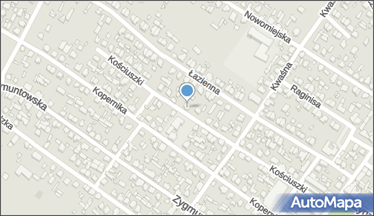 8461012525, Taxi nr 31 Józef Marian Raczkowski 