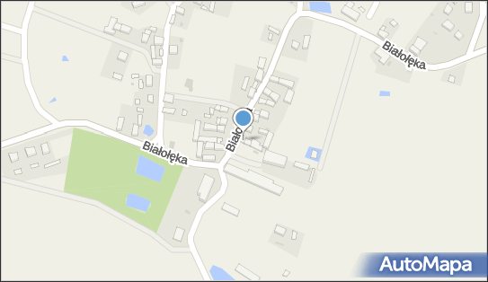 6932054747, Radosław Chrząszcz Usługi Transportowe Robak 
