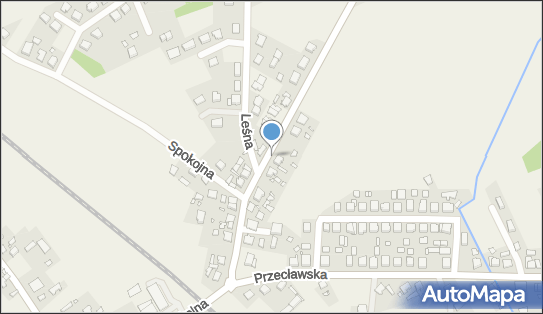 7631918691, Radosław Paszkiewicz Rik 