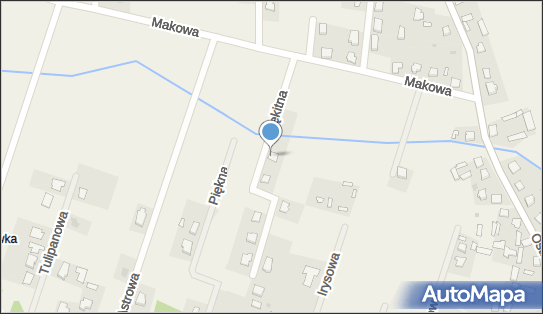 Radosław Salamucha, Błękitna 1B, Białobiel 07-402 - Przedsiębiorstwo, Firma, NIP: 7582123737